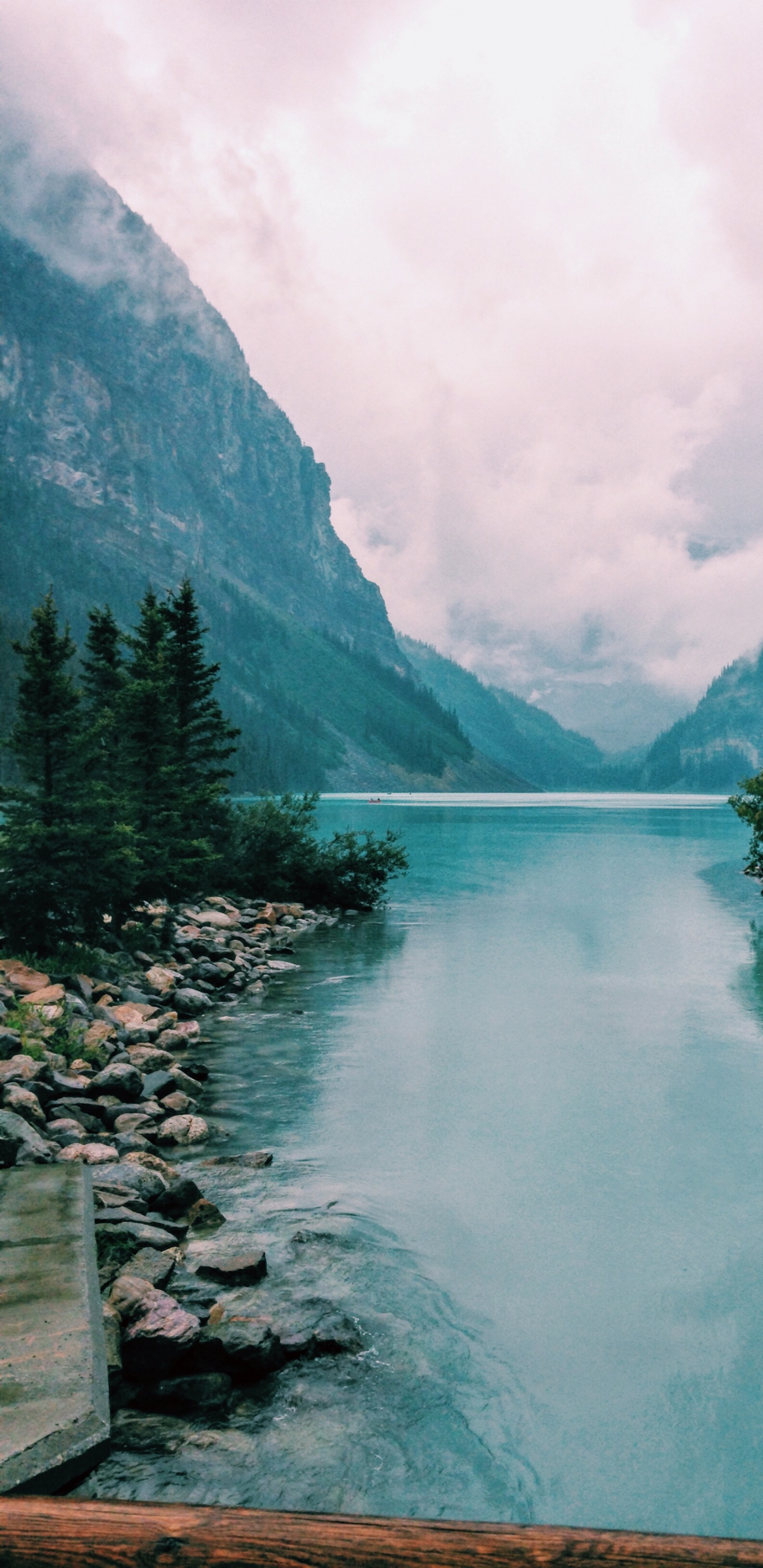 Grüne Bäume in Der Nähe Des Sees Tagsüber Lake. Wallpaper in 1440x2960 Resolution