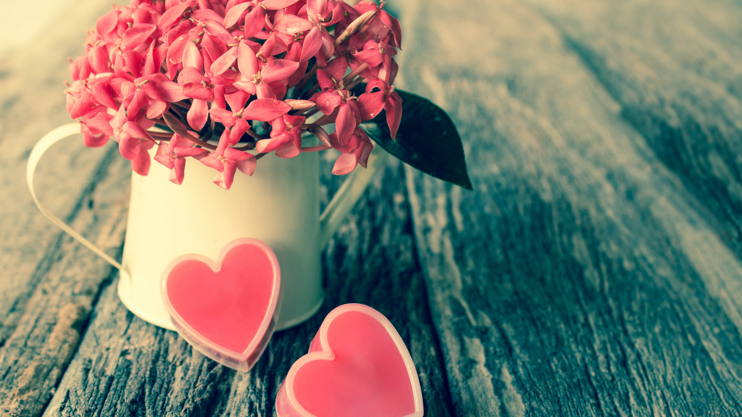 Valentines Day, Pink, Flower, Love, Petal. Wallpaper in 2560x1440 Resolution