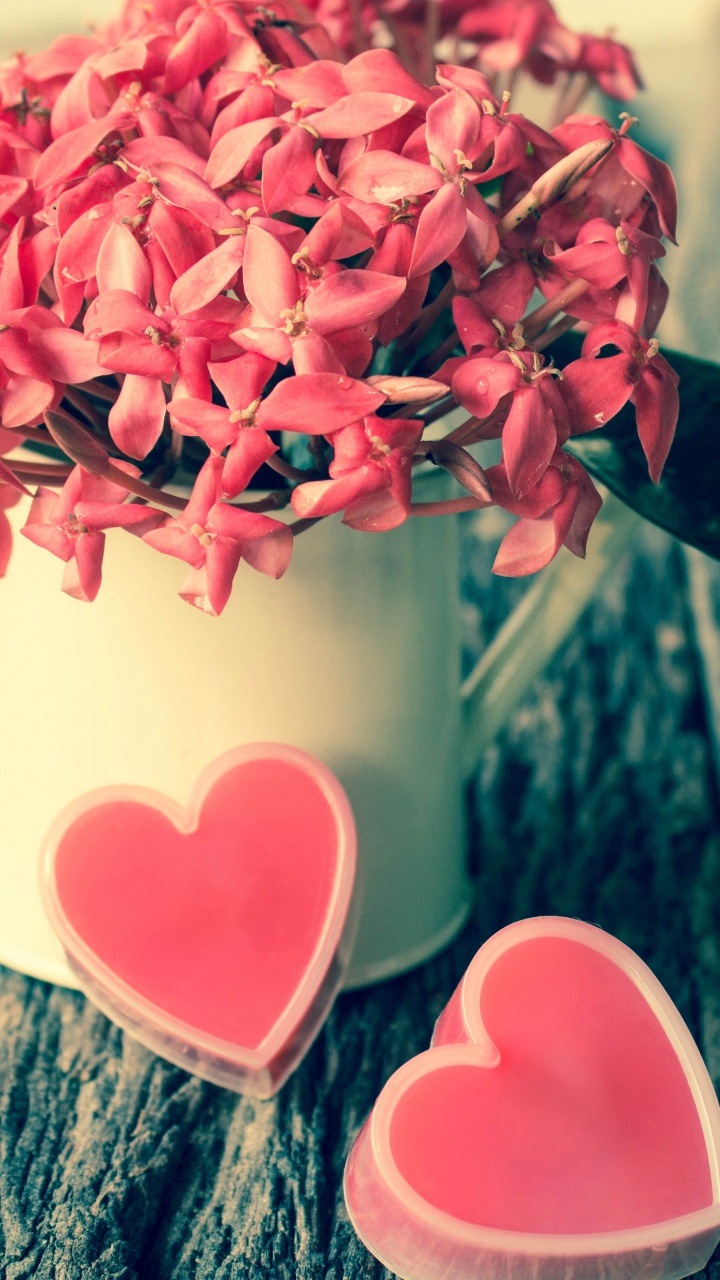 Valentines Tag, Pink, Liebe, Blütenblatt, Herzen. Wallpaper in 720x1280 Resolution