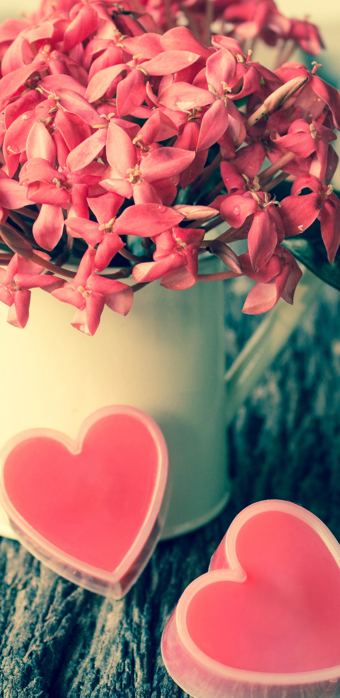 粉红色, 爱情, 心脏, 菌群, 弹簧 壁纸 1440x2960 允许