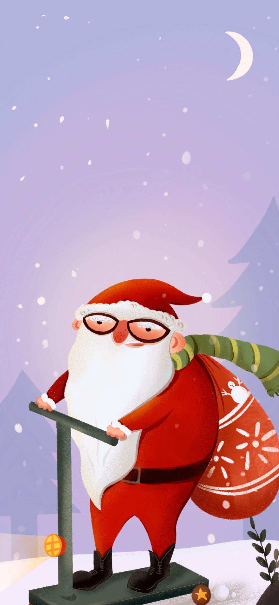 Neujahr, Weihnachtsmann, Weihnachten, Birds, Spielerei. Wallpaper in 1125x2436 Resolution