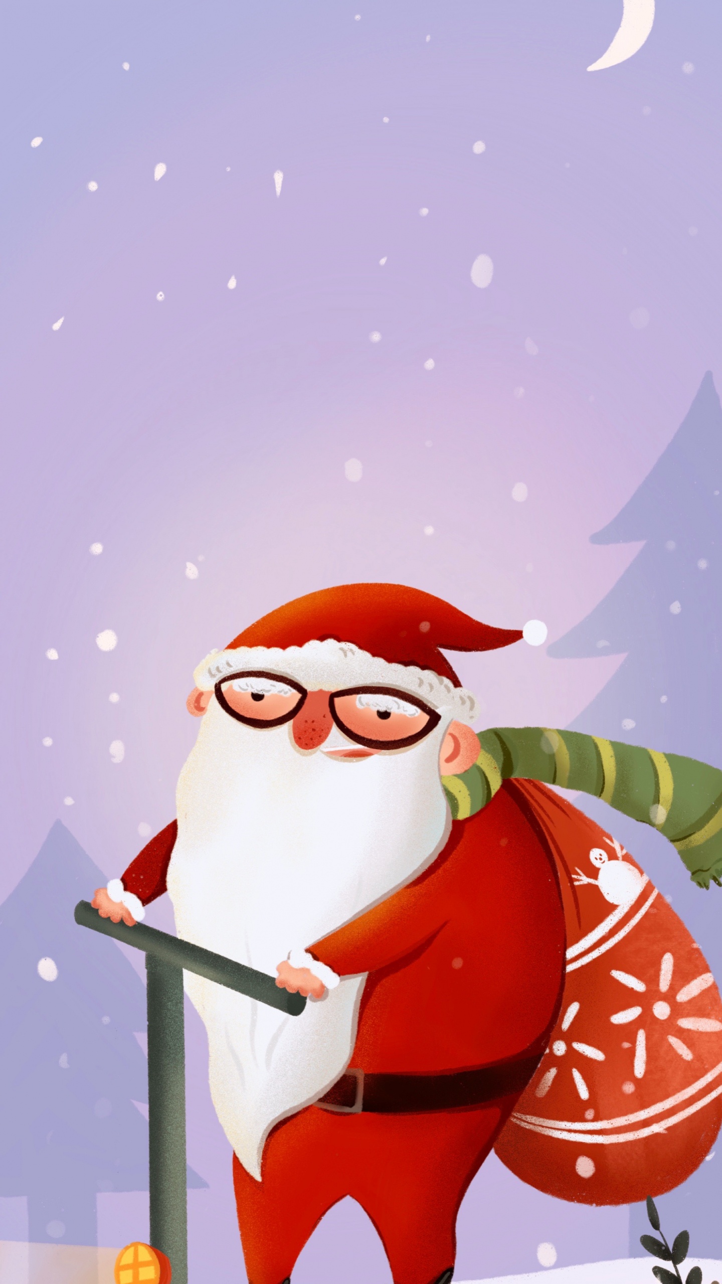 Neujahr, Weihnachtsmann, Weihnachten, Birds, Spielerei. Wallpaper in 1440x2560 Resolution