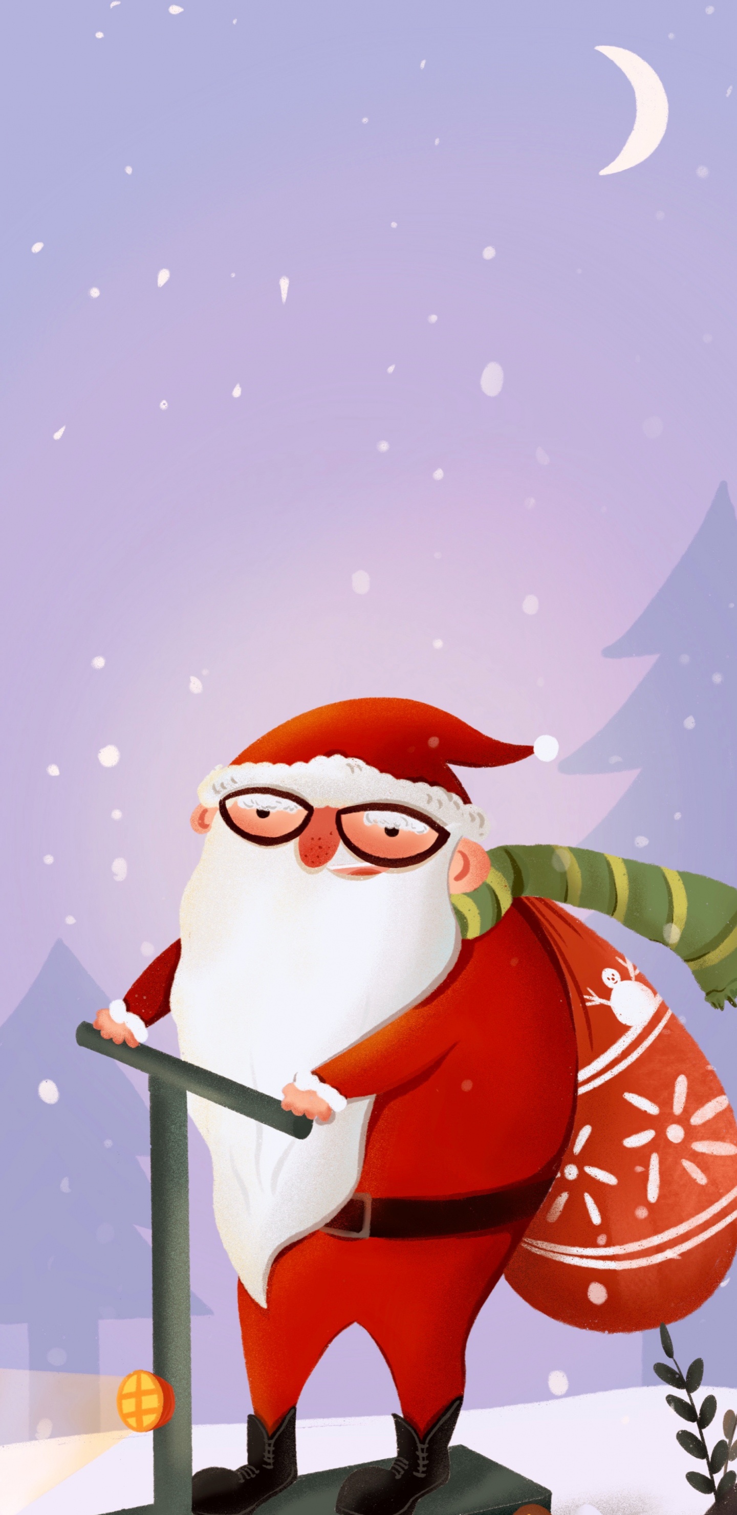 Nochevieja, Navidad, Santa Claus, El Día De Navidad, Pájaros. Wallpaper in 1440x2960 Resolution