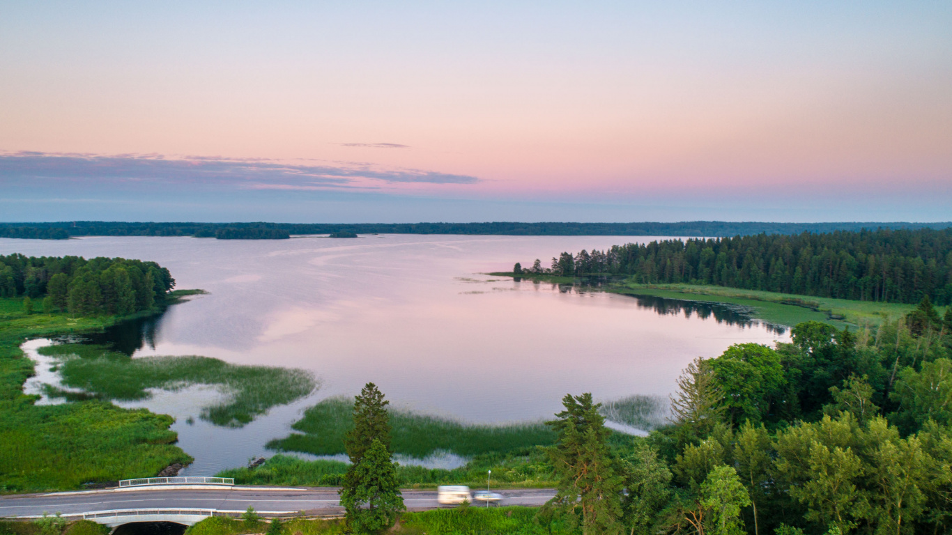 Green Trees Near Body of Water During Daytime. Wallpaper in 1366x768 Resolution