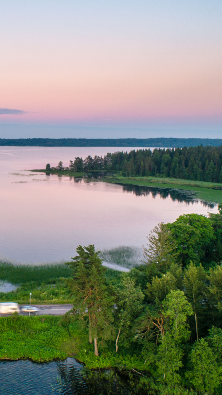 Green Trees Near Body of Water During Daytime. Wallpaper in 750x1334 Resolution