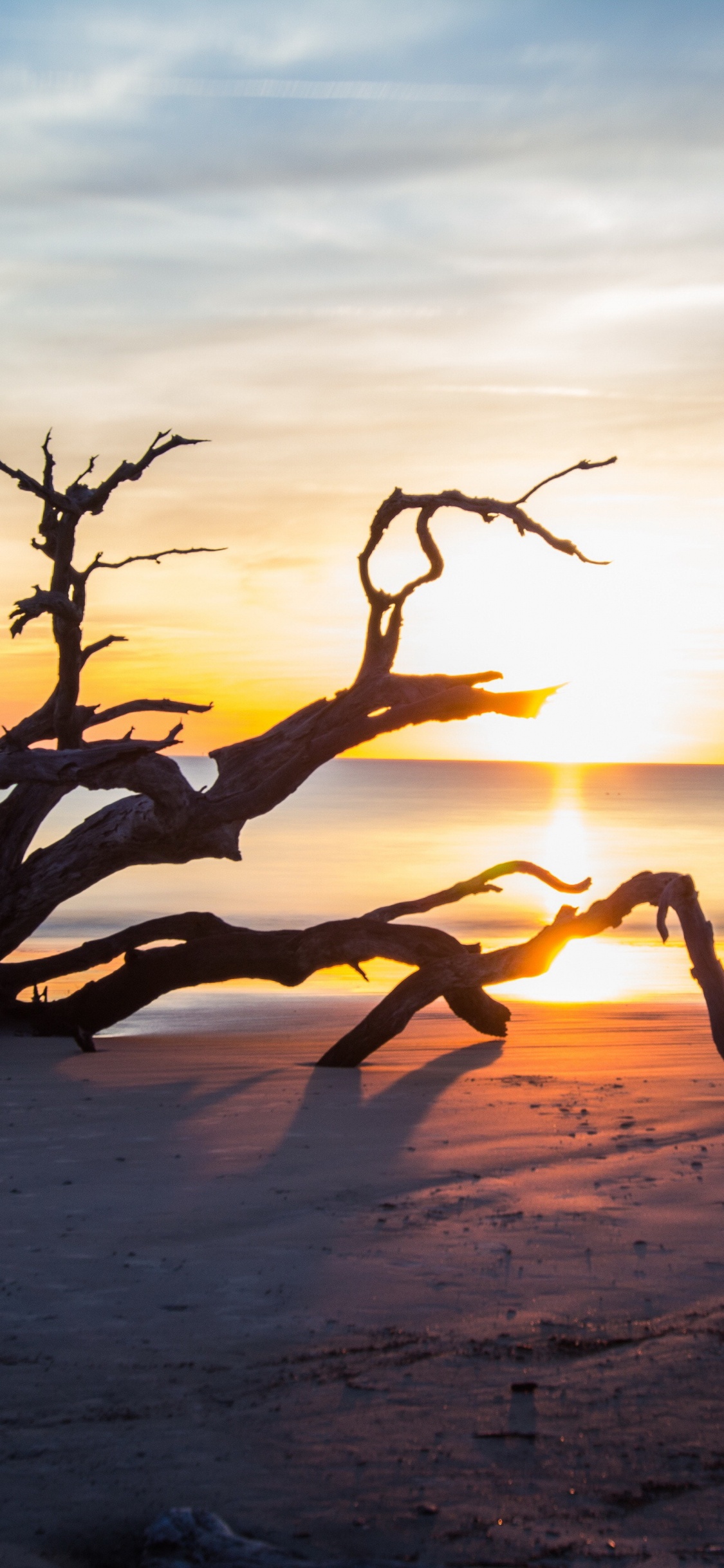Beach Brunswick Ga, Saint Andrew Beach, Driftwood Beach, Massengale Park, Cumberland Island National Seashore. Wallpaper in 1125x2436 Resolution