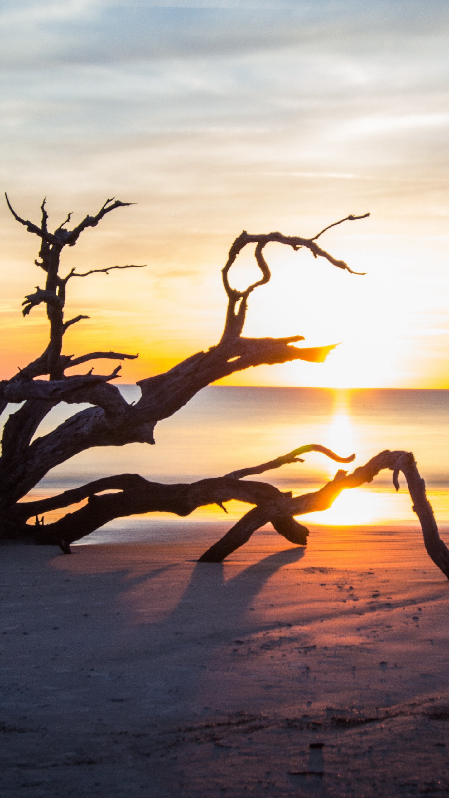 Beach Brunswick Ga, Saint Andrew Beach, Driftwood Beach, Massengale Park, Cumberland Island National Seashore. Wallpaper in 1440x2560 Resolution