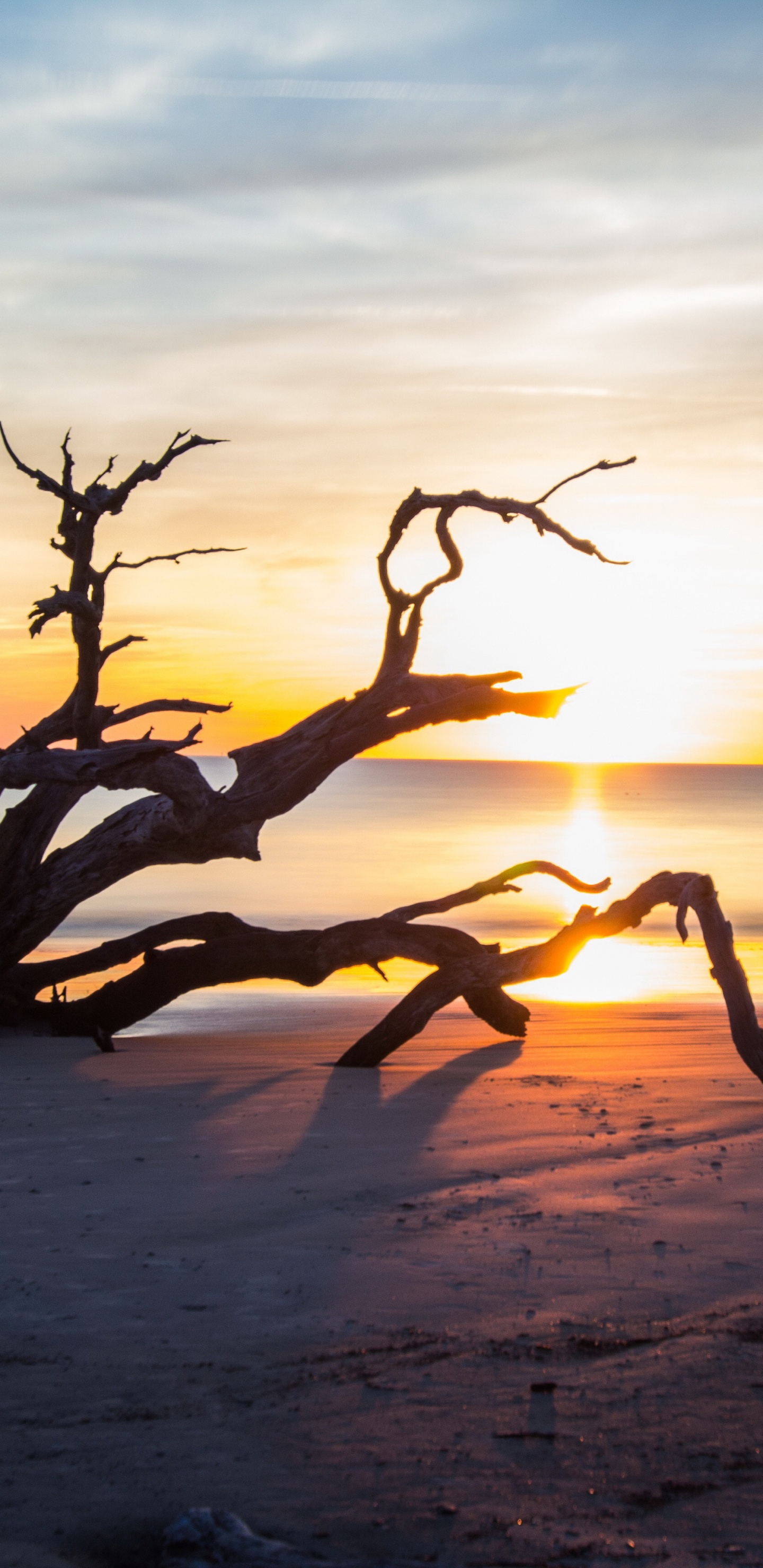Beach Brunswick Ga, Saint Andrew Beach, Driftwood Beach, Massengale Park, Cumberland Island National Seashore. Wallpaper in 1440x2960 Resolution