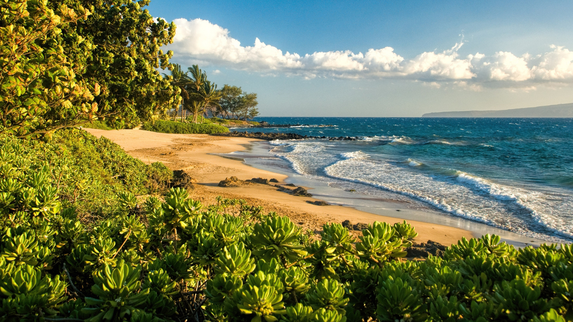 Green Trees Near Sea Under Blue Sky During Daytime. Wallpaper in 1920x1080 Resolution