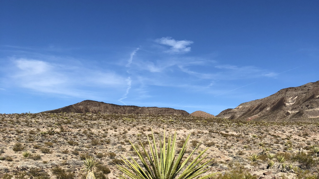 Vegetation, Shrubland, Plant Community, Landscape, Mountain. Wallpaper in 1280x720 Resolution