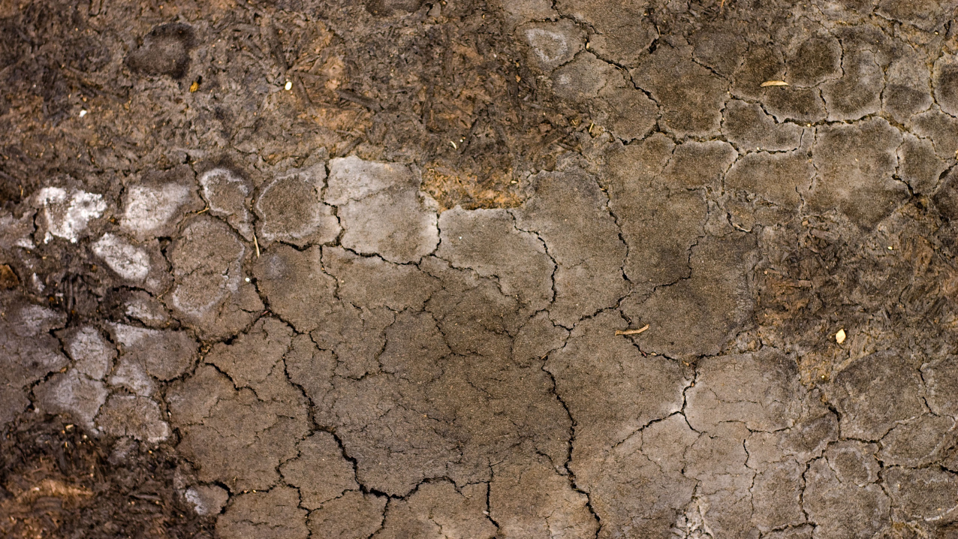 Brown and Gray Concrete Floor. Wallpaper in 1920x1080 Resolution