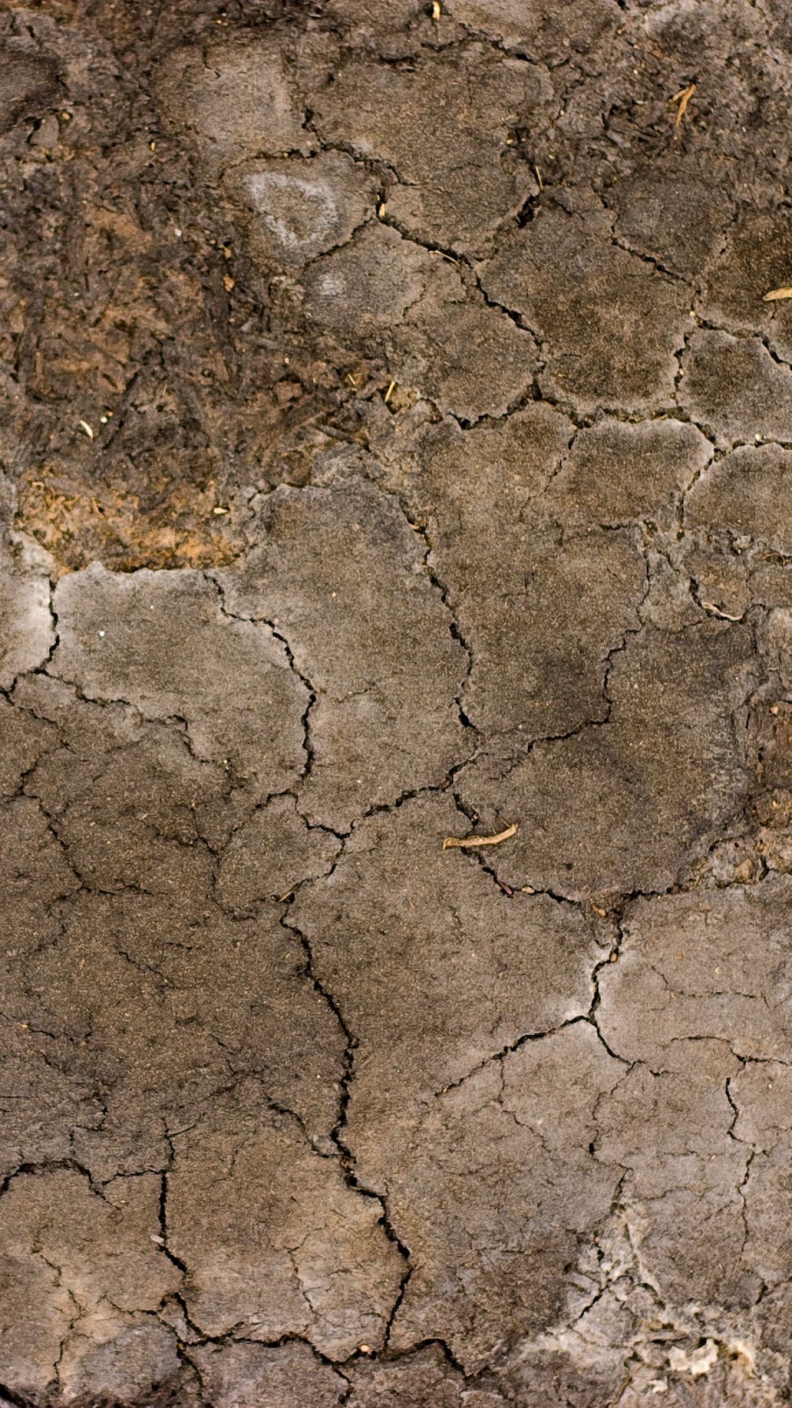 Brown and Gray Concrete Floor. Wallpaper in 720x1280 Resolution