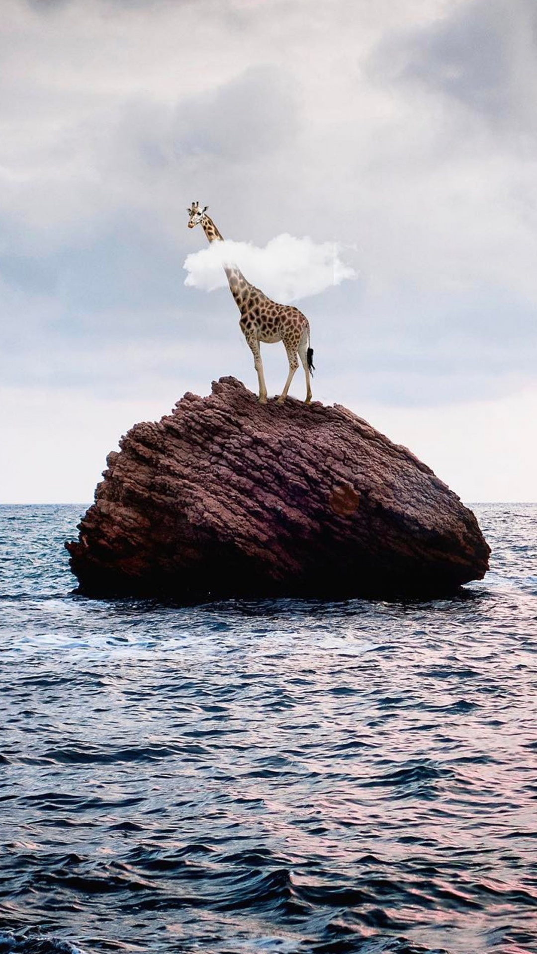 Stein Auf Dem Meer, Wasser, Meer, Rock, Strand. Wallpaper in 1080x1920 Resolution