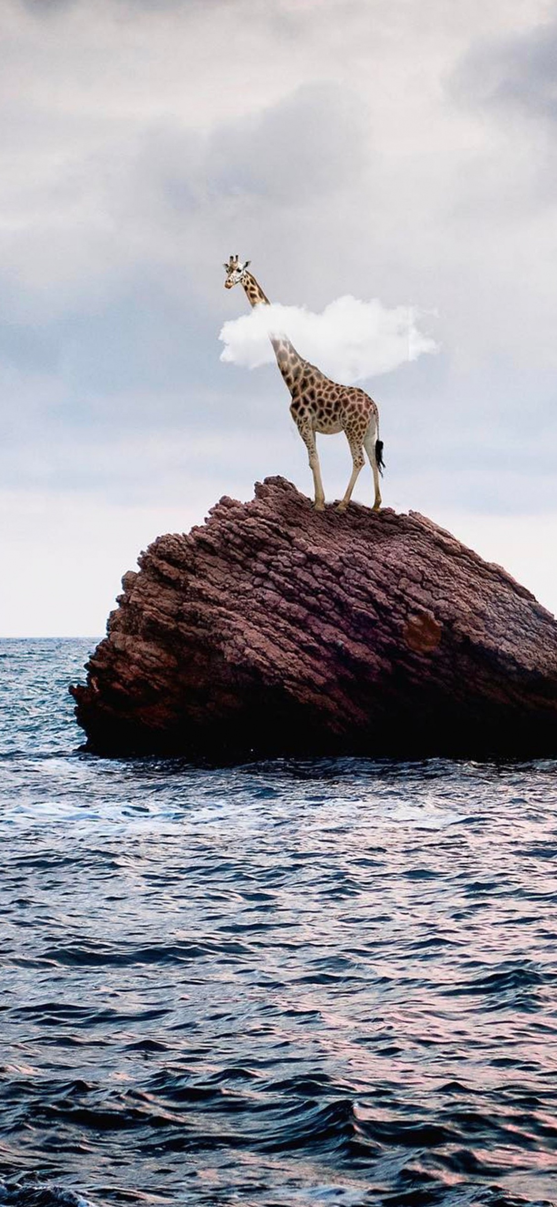 Stein Auf Dem Meer, Wasser, Meer, Rock, Strand. Wallpaper in 1125x2436 Resolution