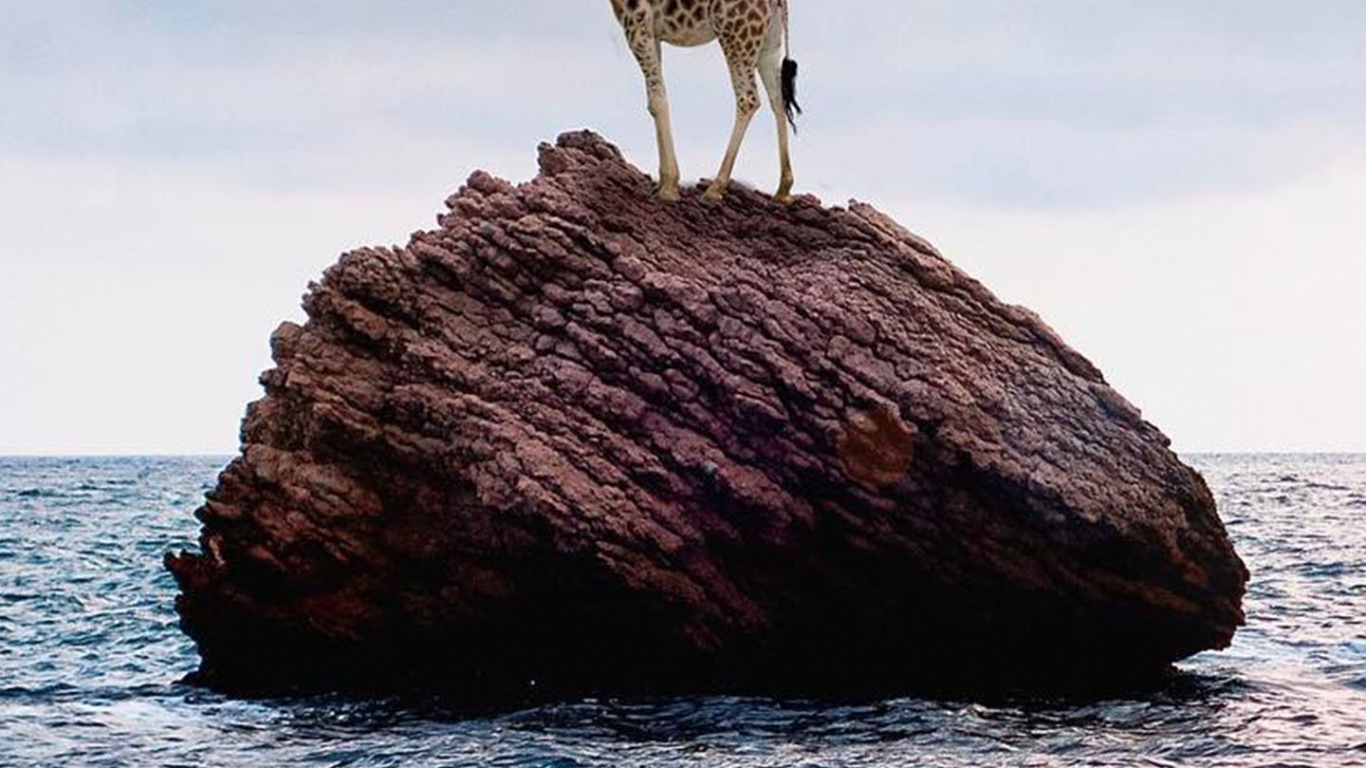 Stein Auf Dem Meer, Wasser, Meer, Rock, Strand. Wallpaper in 1366x768 Resolution