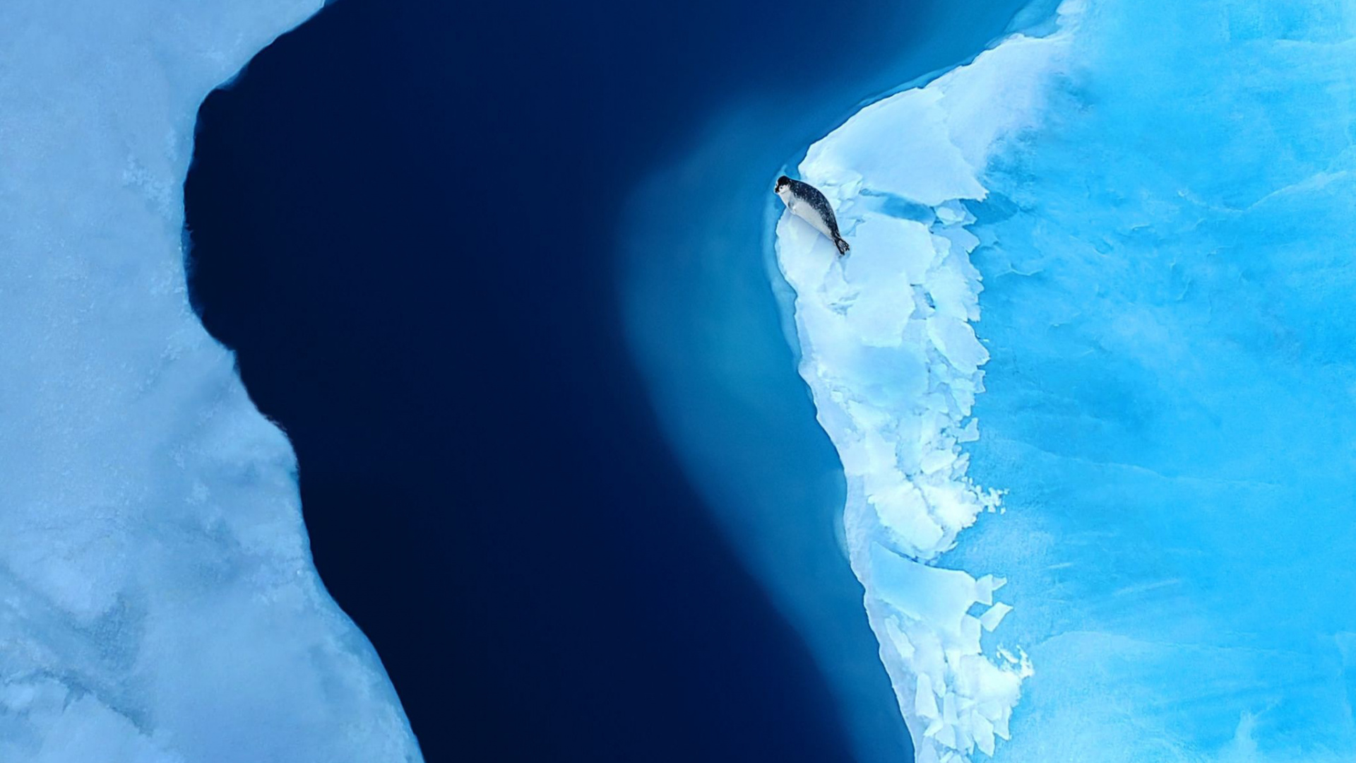 Huawei, Huawei Mate, Huawei Mate XS, Faltbares Smartphone, Smartphone. Wallpaper in 1920x1080 Resolution