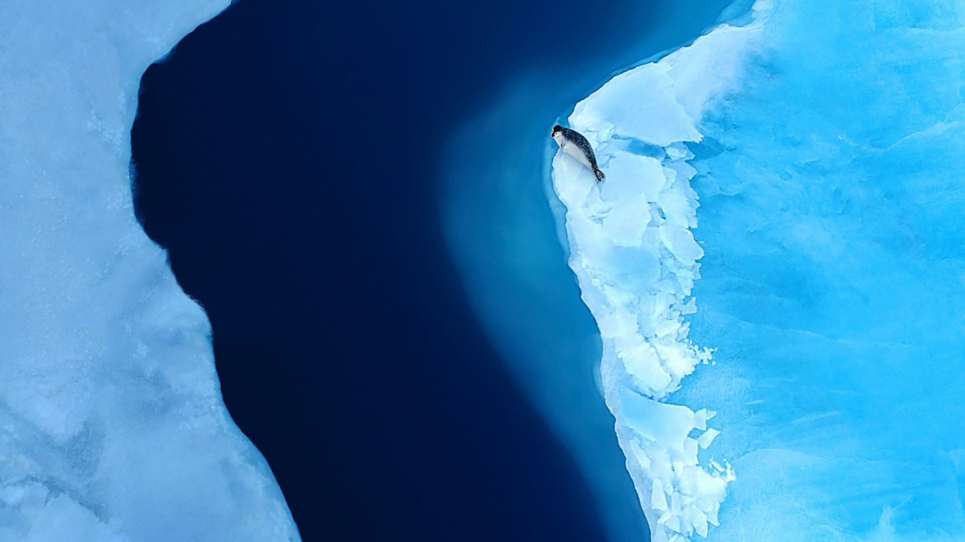 Huawei, Huawei Mate, Huawei Mate XS, Smartphone Pliable, Smartphone. Wallpaper in 1366x768 Resolution