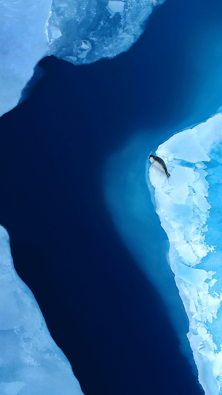 Huawei, Huawei Mate, Huawei Mate XS, Smartphone Pliable, Smartphone. Wallpaper in 750x1334 Resolution