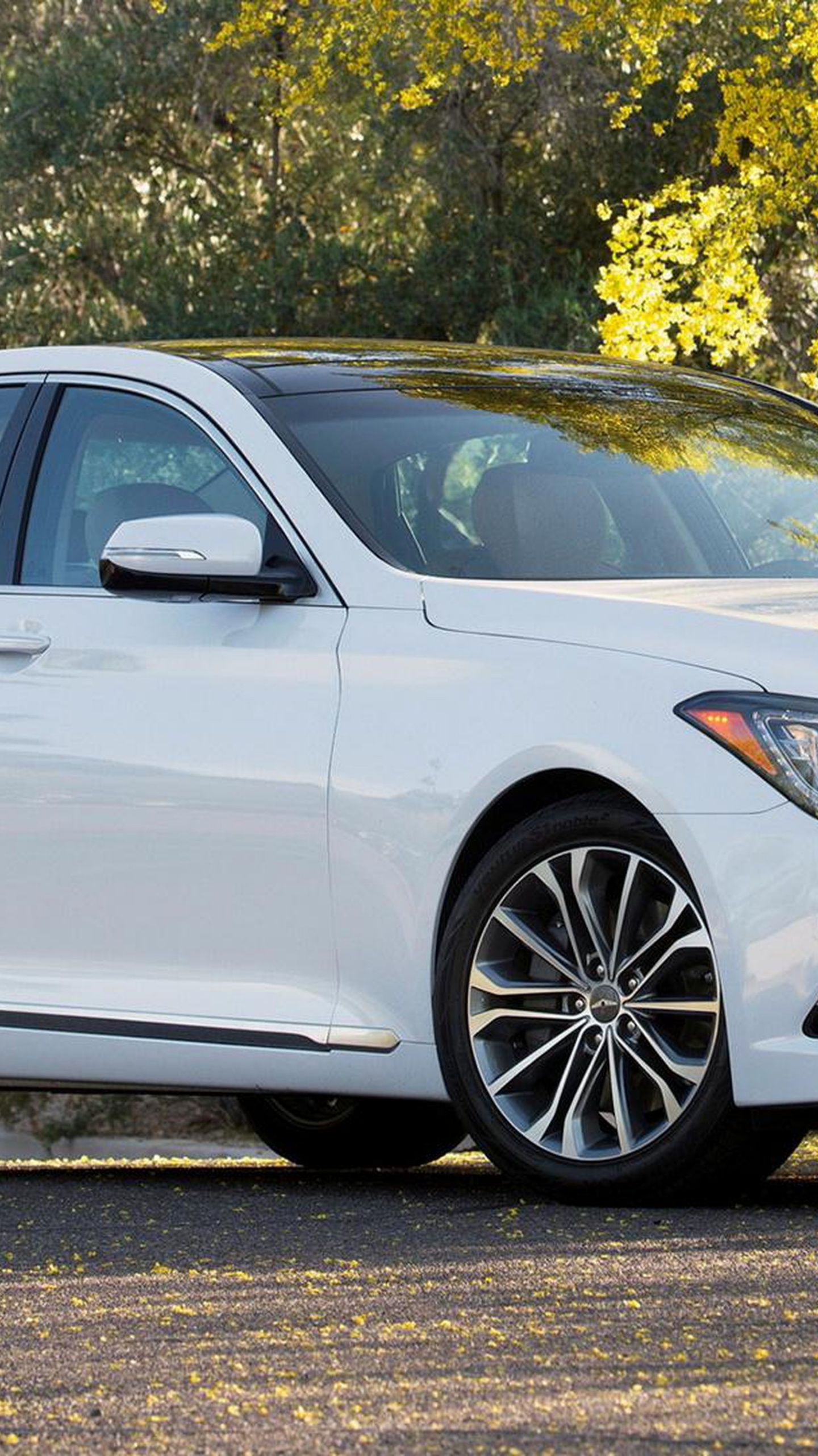 Bmw Blanche x 6 Garée Sur Une Route Goudronnée Grise Pendant la Journée. Wallpaper in 1440x2560 Resolution