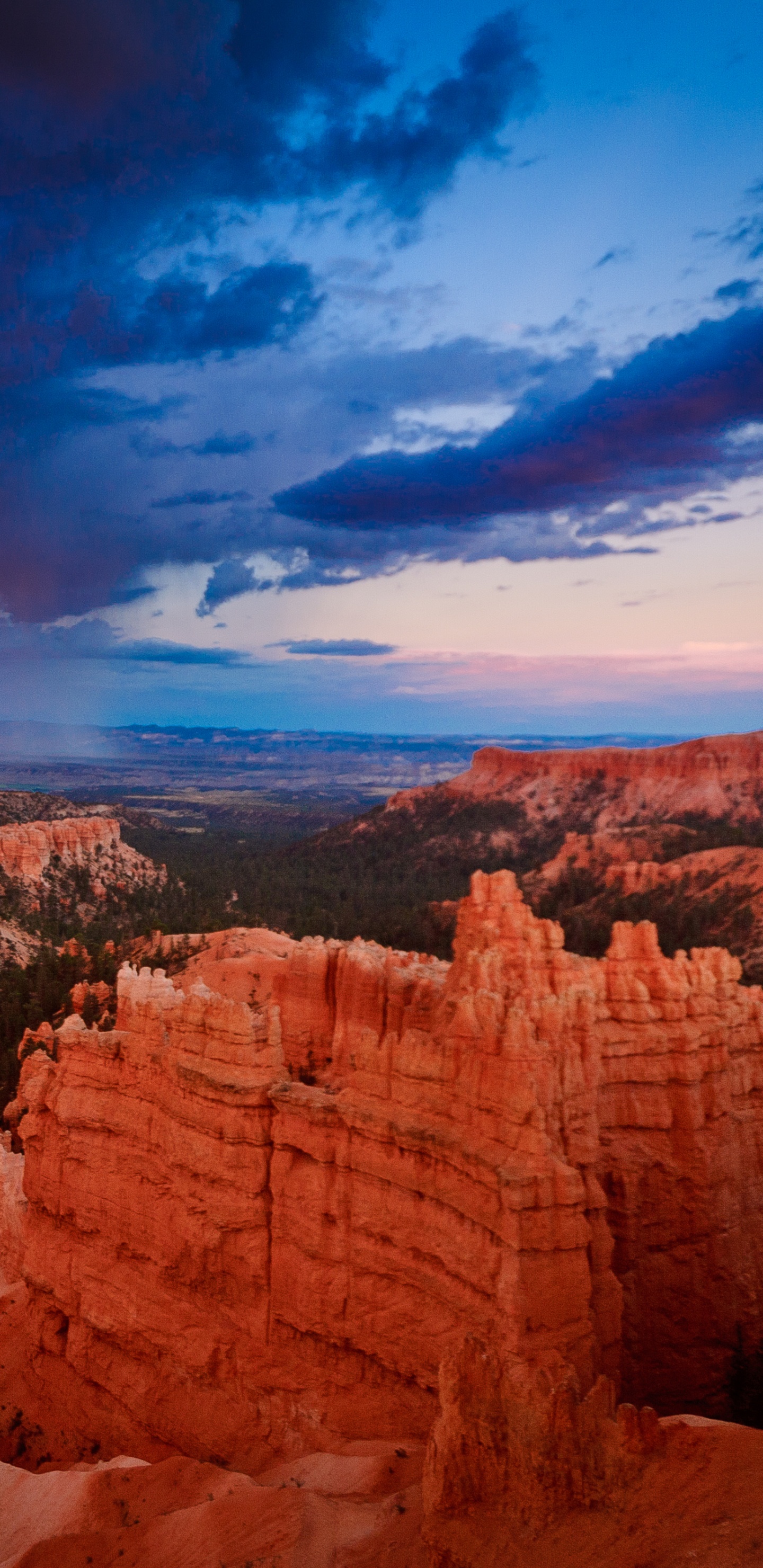 Tagsüber Braune Felsformation Unter Blauem Himmel. Wallpaper in 1440x2960 Resolution