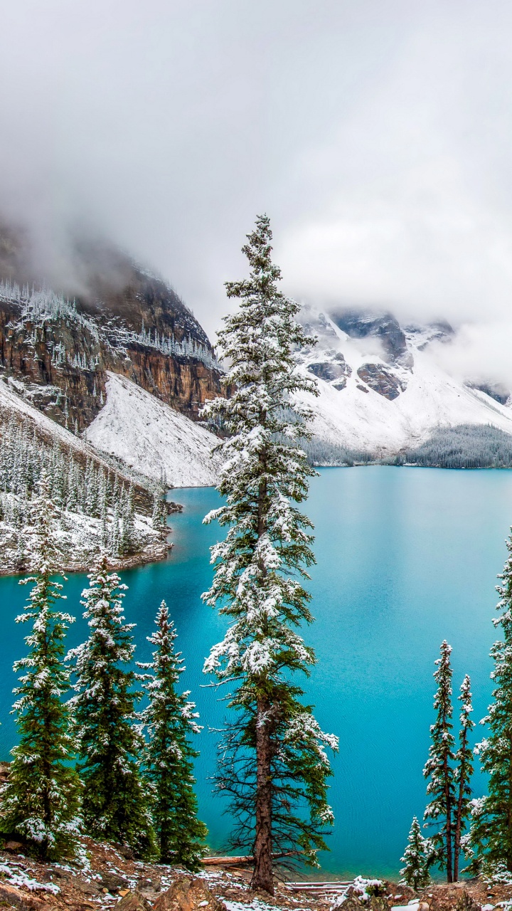 碛湖, 公园, 冬天, 性质, 荒野 壁纸 720x1280 允许