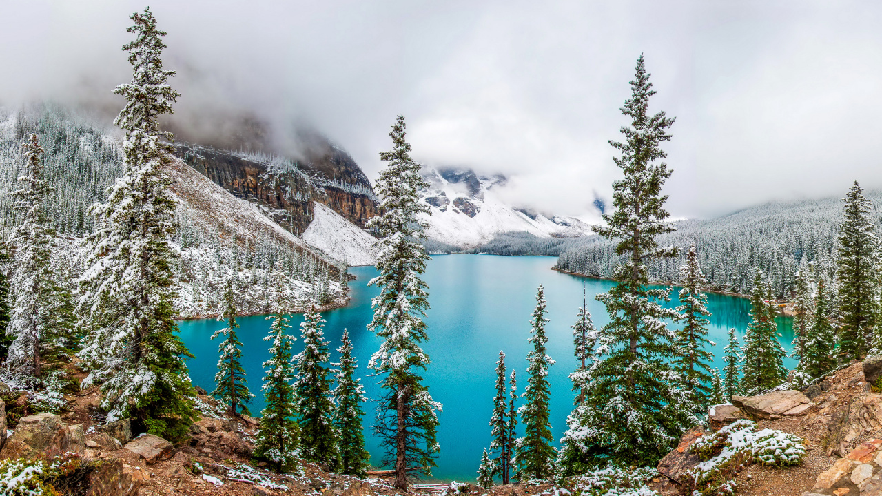 Green Pine Trees Near Lake During Daytime. Wallpaper in 1280x720 Resolution