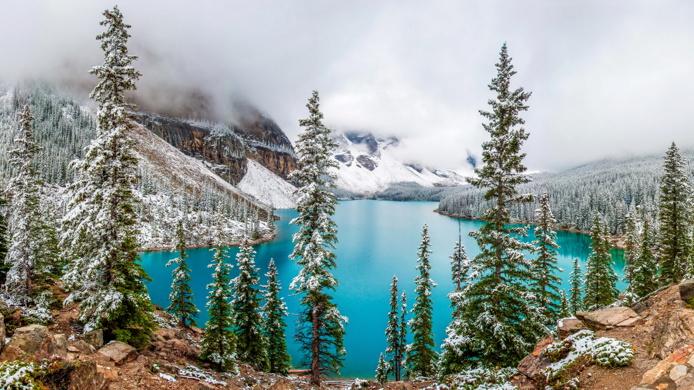 Green Pine Trees Near Lake During Daytime. Wallpaper in 1366x768 Resolution