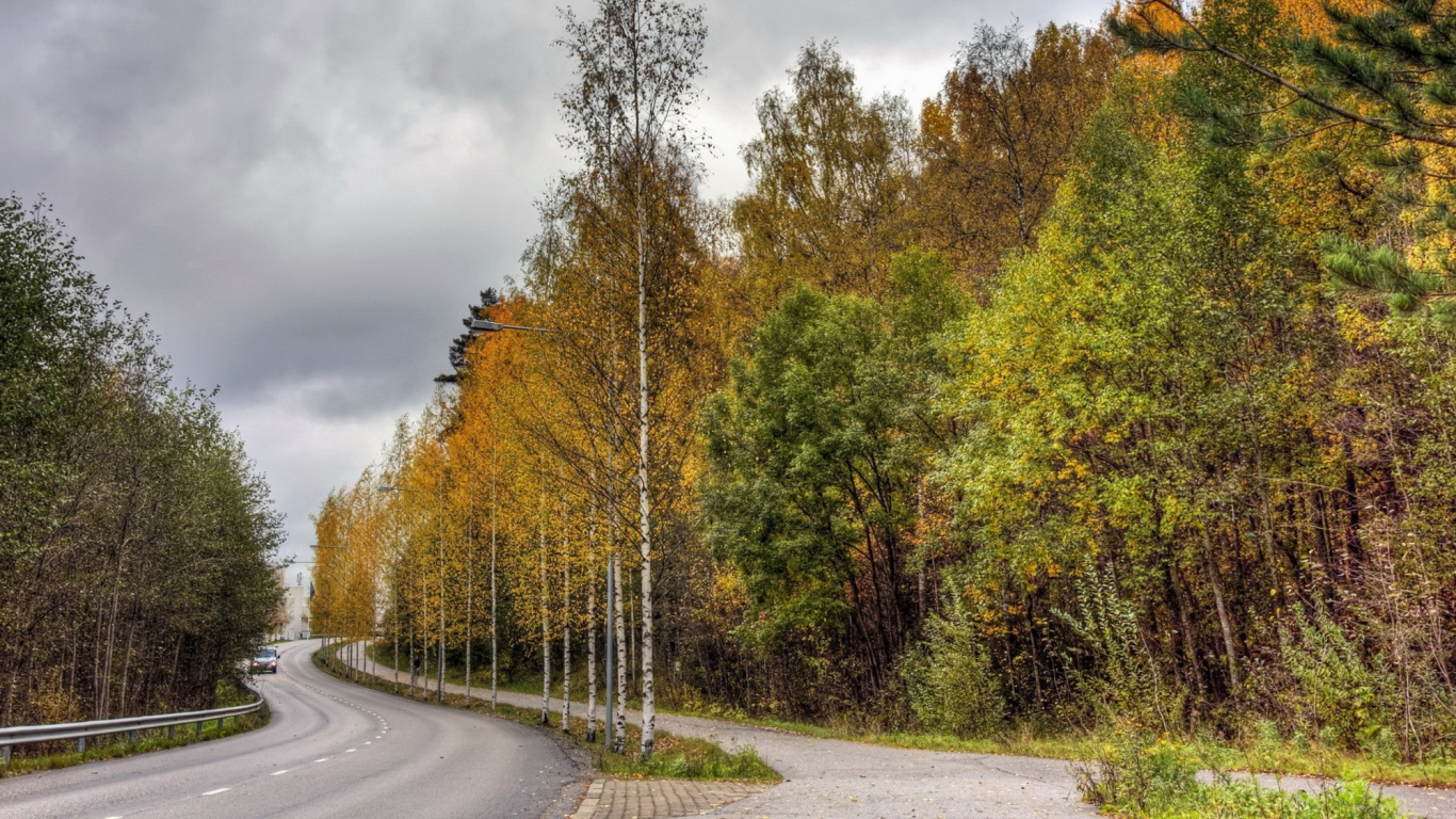 Arbres Verts à Côté de la Route Goudronnée Grise Pendant la Journée. Wallpaper in 1366x768 Resolution