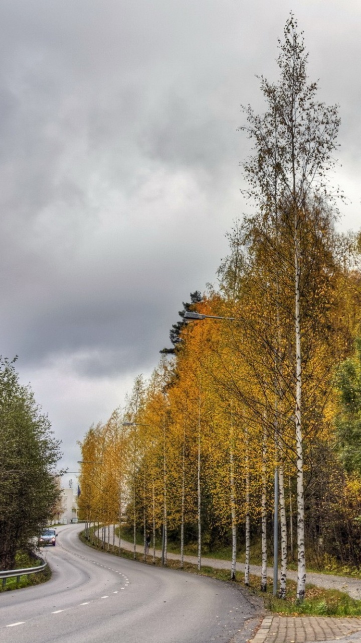 Green Trees Beside Gray Asphalt Road During Daytime. Wallpaper in 720x1280 Resolution