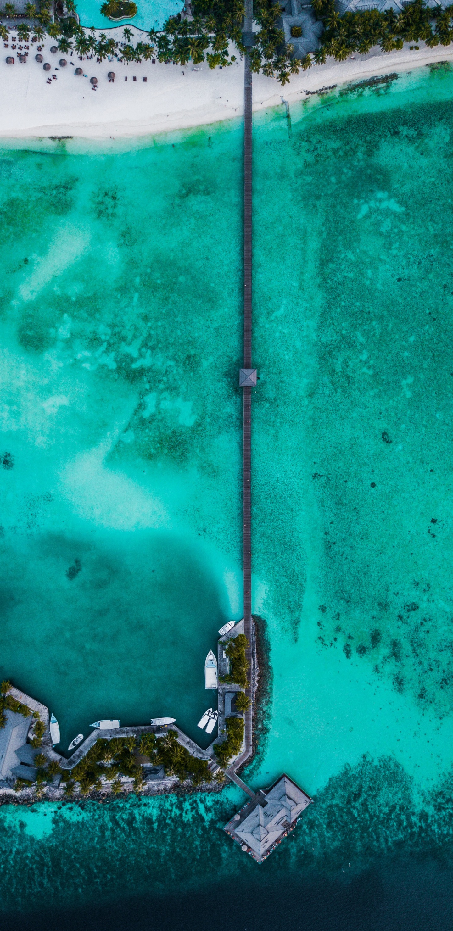 Aqua, Furaveri, Sea, Paradise Island Resort Maldives, Turquoise. Wallpaper in 1440x2960 Resolution