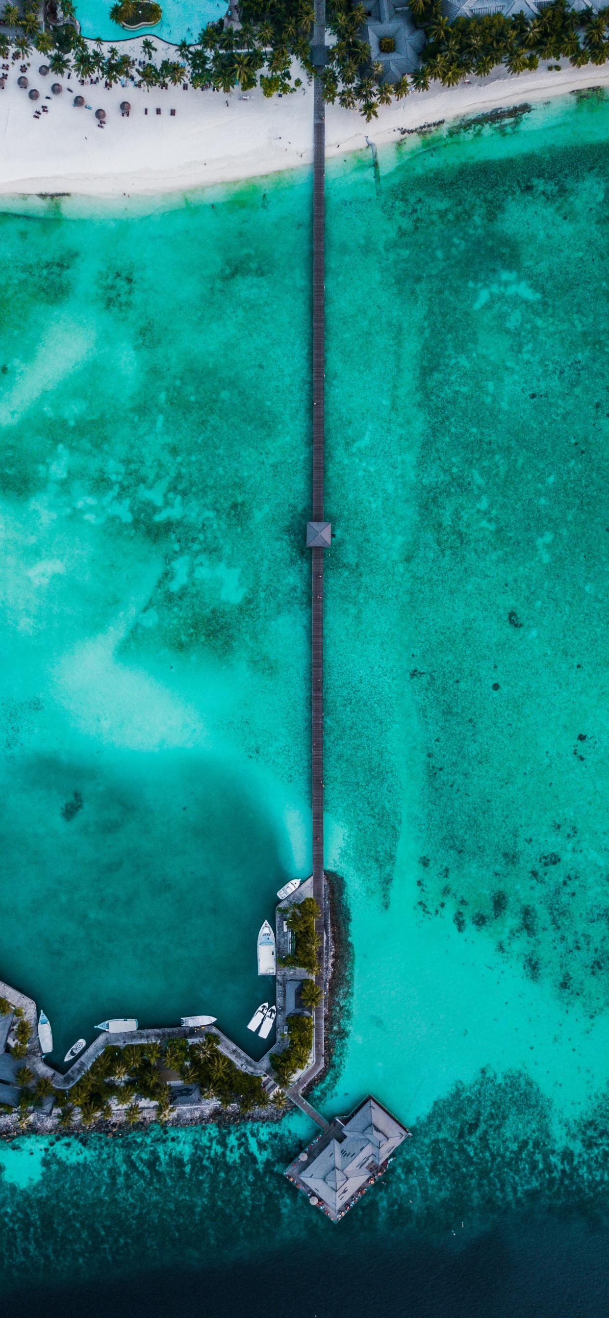 Aqua, Mer, Turquoise, Île, Plage. Wallpaper in 1242x2688 Resolution