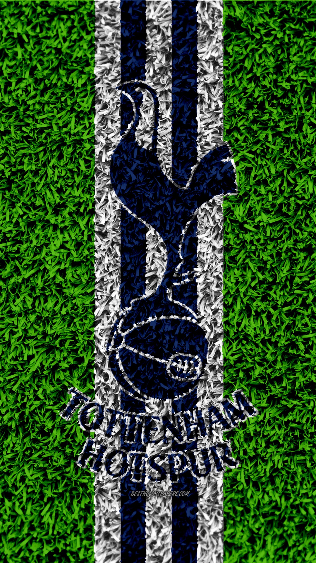 Green, Grass, Tree, Line, Grass Family. Wallpaper in 1080x1920 Resolution