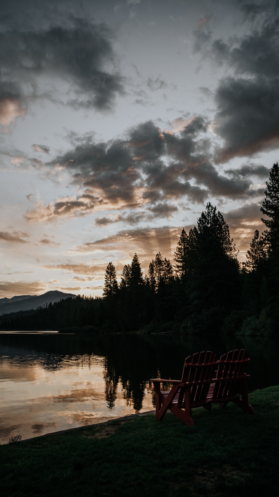 Natur, Cloud, Wasser, Baum, Reflexion. Wallpaper in 1080x1920 Resolution