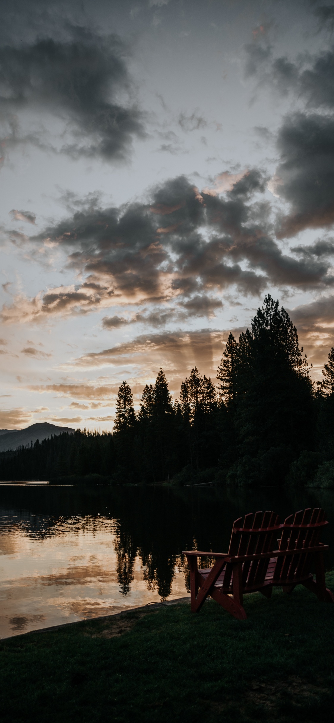 Nature, Cloud, Water, Tree, Reflection. Wallpaper in 1125x2436 Resolution