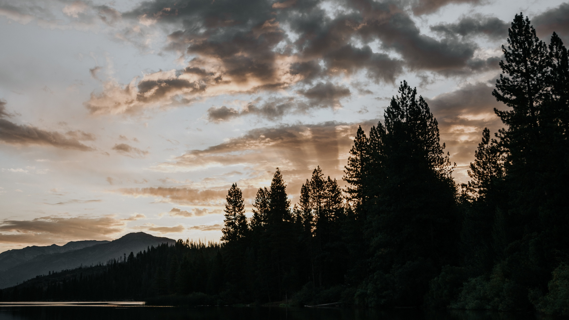 Nature, Cloud, Water, Tree, Reflection. Wallpaper in 1920x1080 Resolution