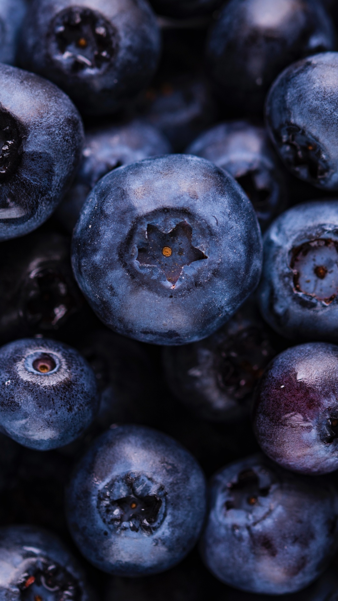 Fruits Ronds Violets en Photographie Rapprochée. Wallpaper in 1080x1920 Resolution