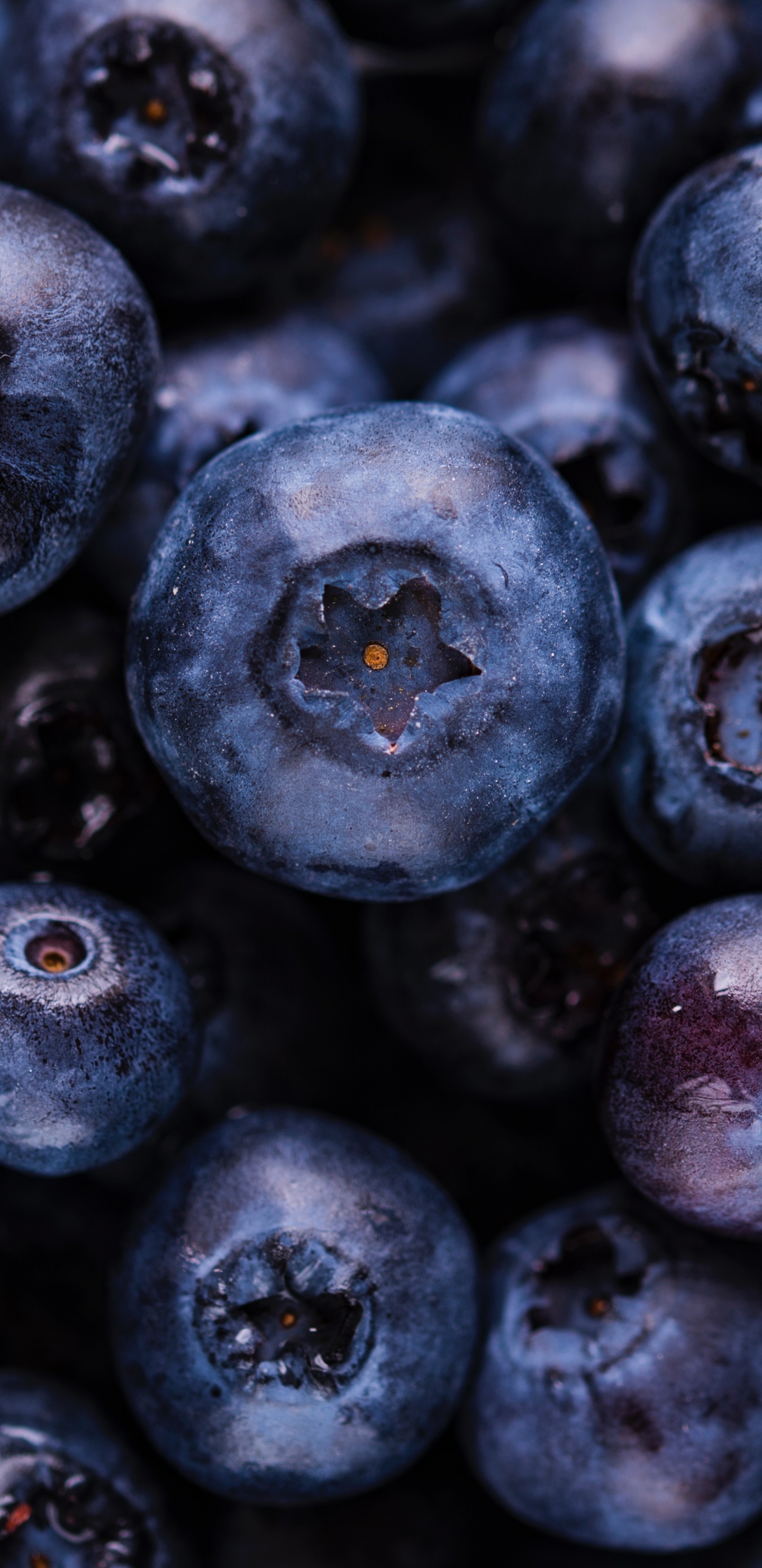 蓝莓, 食品, 天然的食物, 煎饼, 成分 壁纸 1440x2960 允许