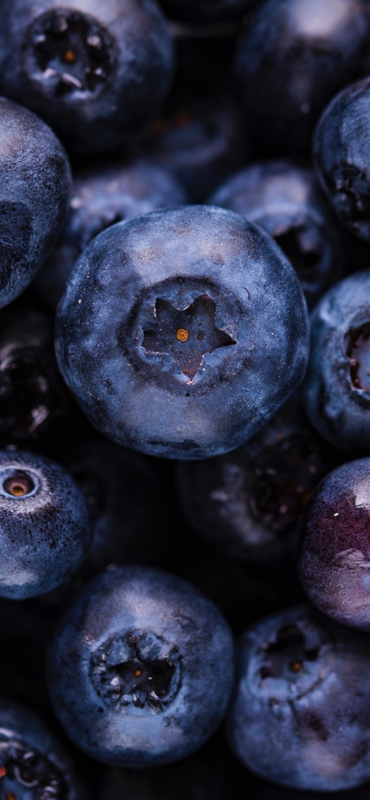 Purple Round Fruit in Close up Photography. Wallpaper in 1242x2688 Resolution