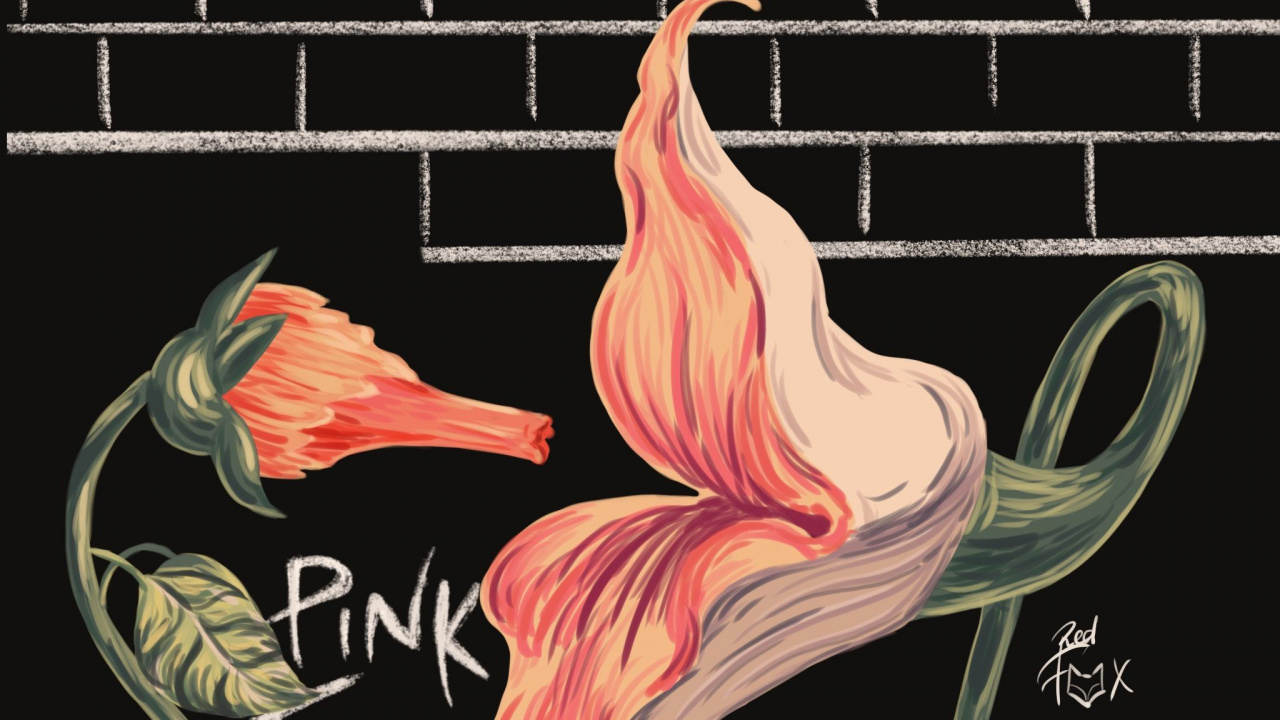 Pink Floyd, Espaces Vides, Illustration, la Floraison de la Plante, Art. Wallpaper in 1280x720 Resolution