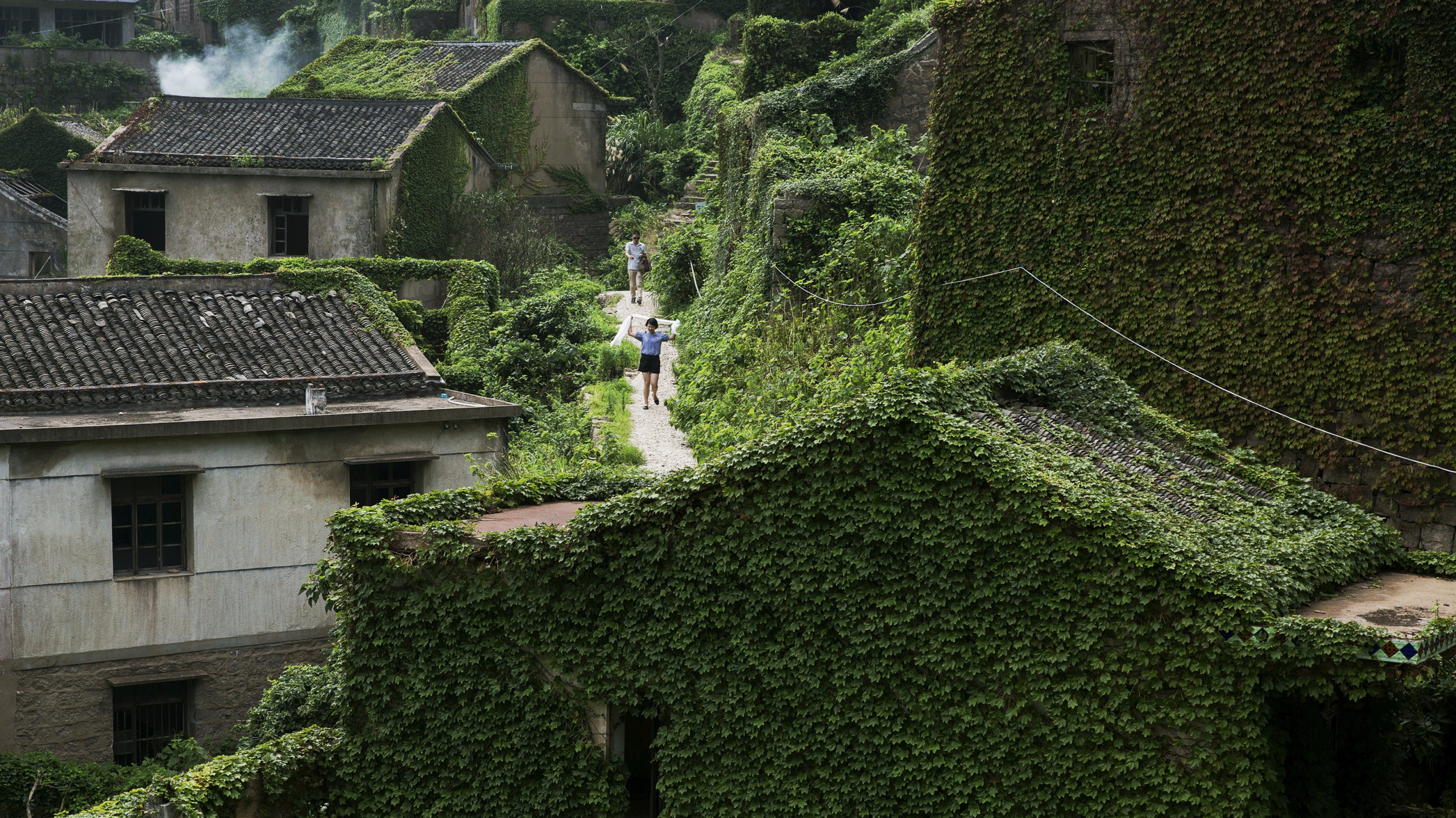 Personne en Chemise Blanche Marchant Sur un Terrain D'herbe Verte Pendant la Journée. Wallpaper in 2560x1440 Resolution