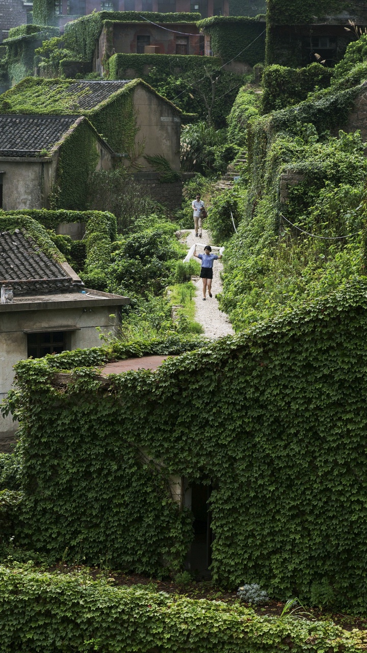 Personne en Chemise Blanche Marchant Sur un Terrain D'herbe Verte Pendant la Journée. Wallpaper in 720x1280 Resolution