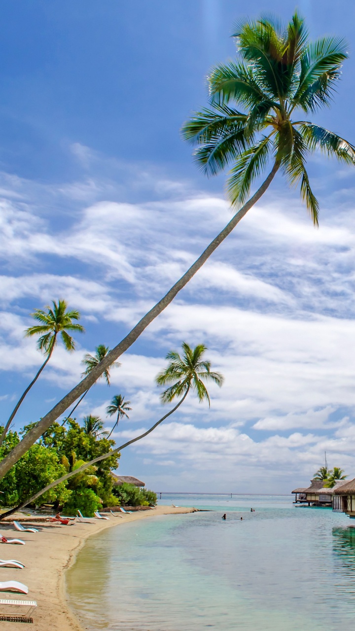 Brown Wooden House Near Body of Water Under Blue Sky During Daytime. Wallpaper in 720x1280 Resolution