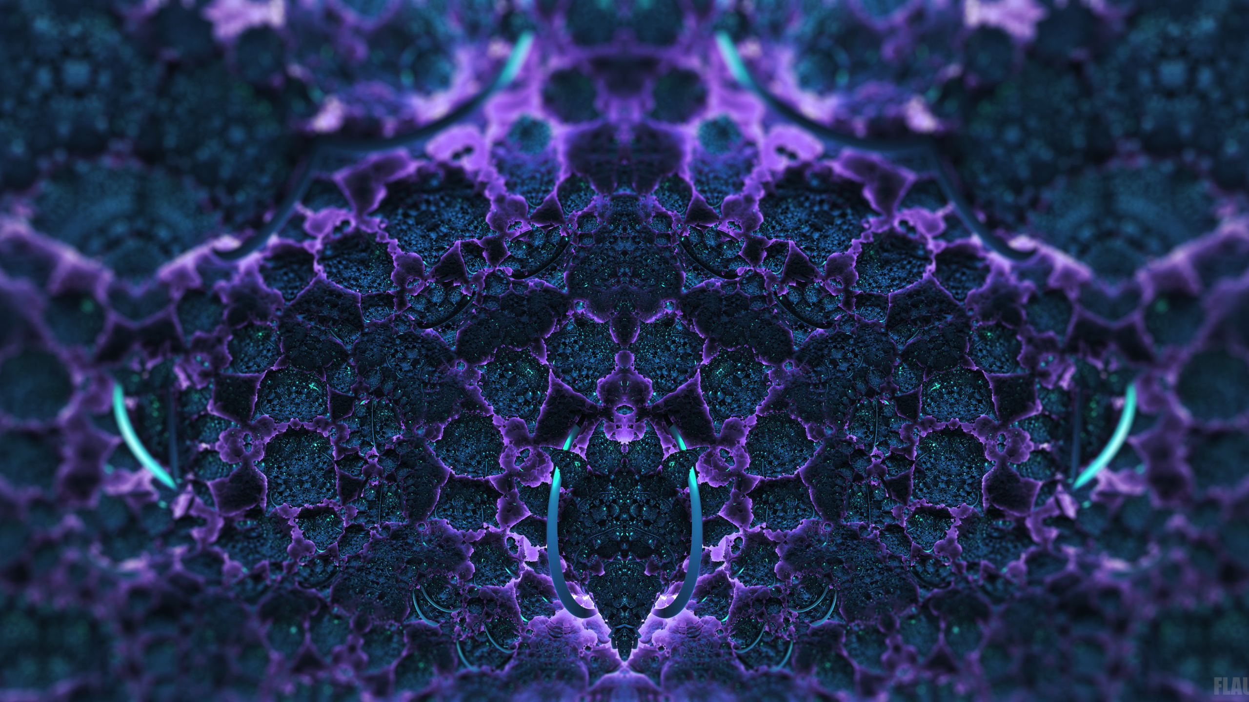 Textile Floral Rose et Blanc. Wallpaper in 2560x1440 Resolution