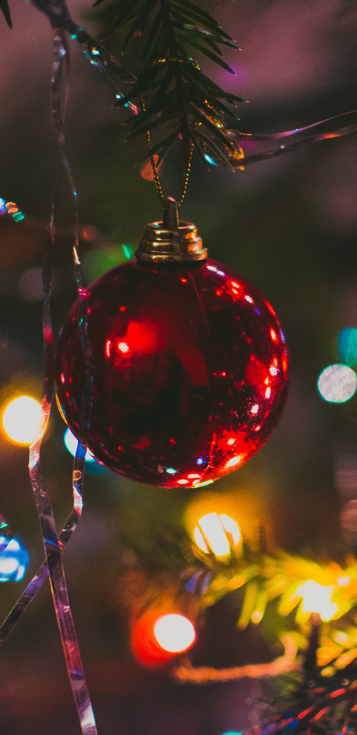 Le Jour De Noël, Arbre de Noël, Les Lumières de Noël, Ornement de Noël, Lumière. Wallpaper in 1440x2960 Resolution