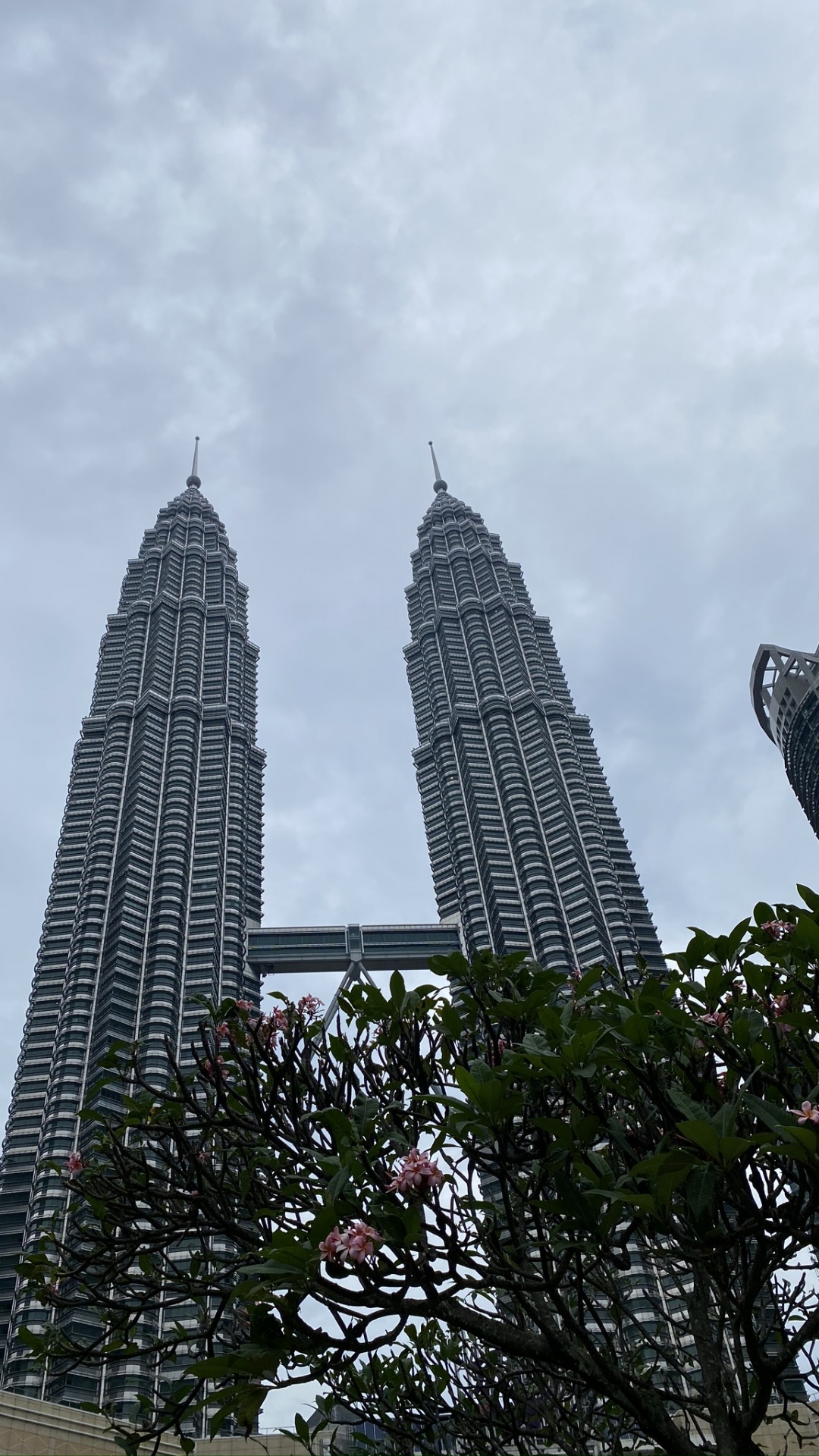 Petronas Towers, Kuala Lumpur, Malaysia, Petronas Twin Towers, Tower Block. Wallpaper in 1080x1920 Resolution