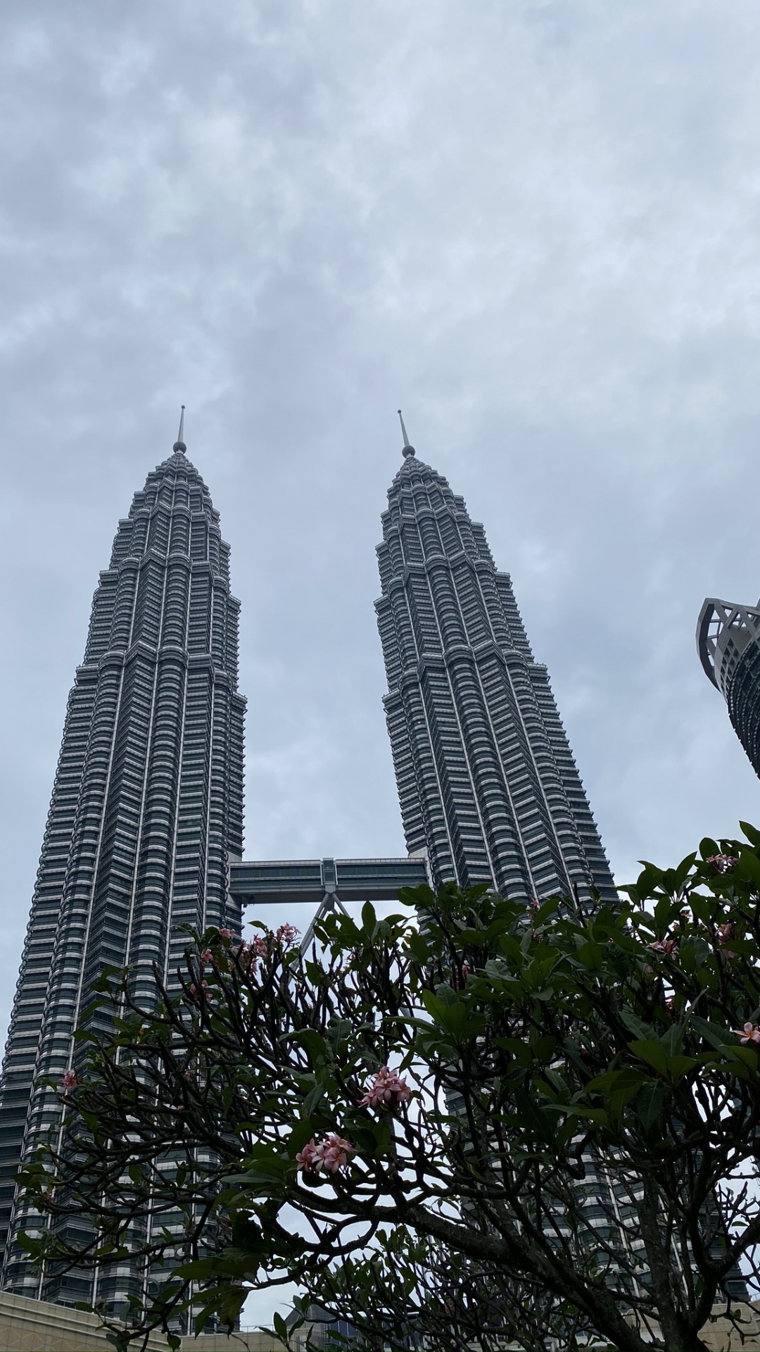 Petronas Towers, Kuala Lumpur, Malaysien, Petronas Twin Towers; Petronas Zwillingstürme, Tower Block. Wallpaper in 1080x1920 Resolution