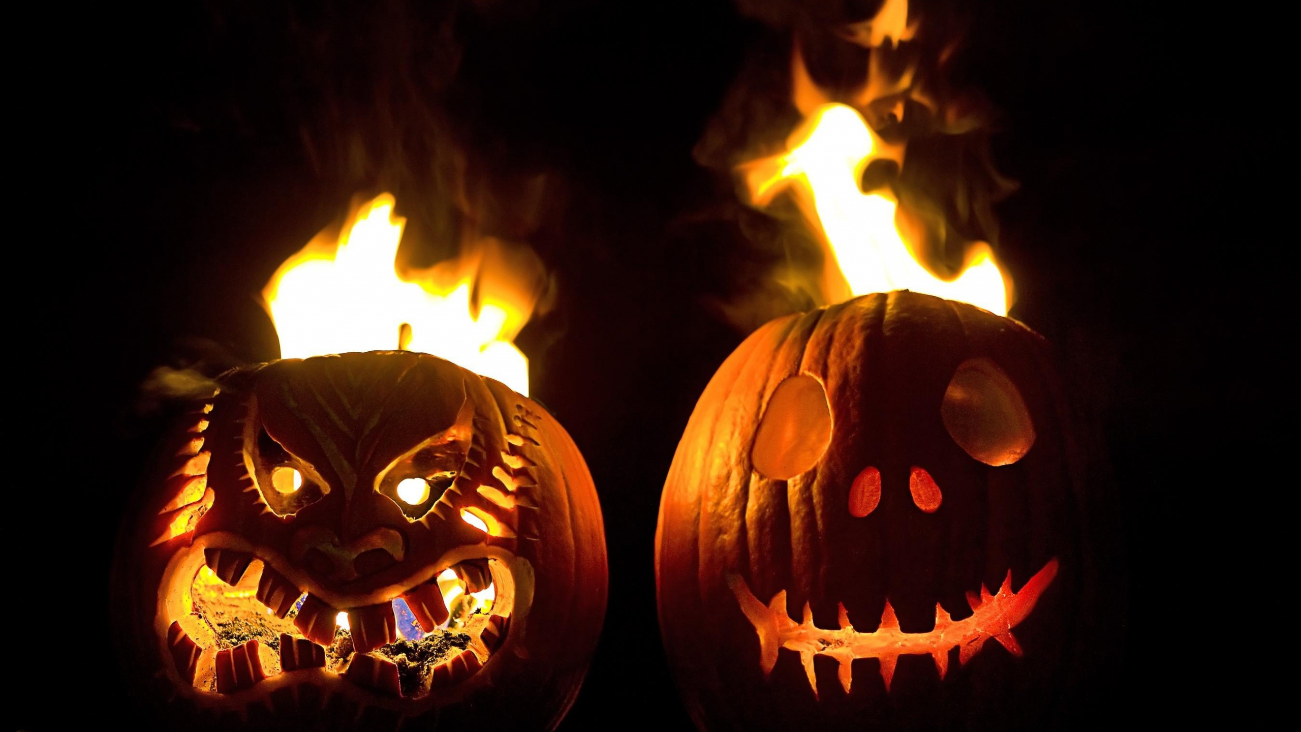 Calabaza, Chaleur, Cucurbita, Halloween, Jack o Lantern. Wallpaper in 2560x1440 Resolution