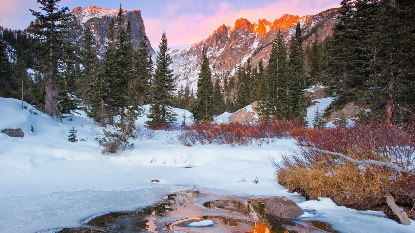 Green Pine Trees Covered With Snow Near Brown Mountain During Daytime. Wallpaper in 1366x768 Resolution