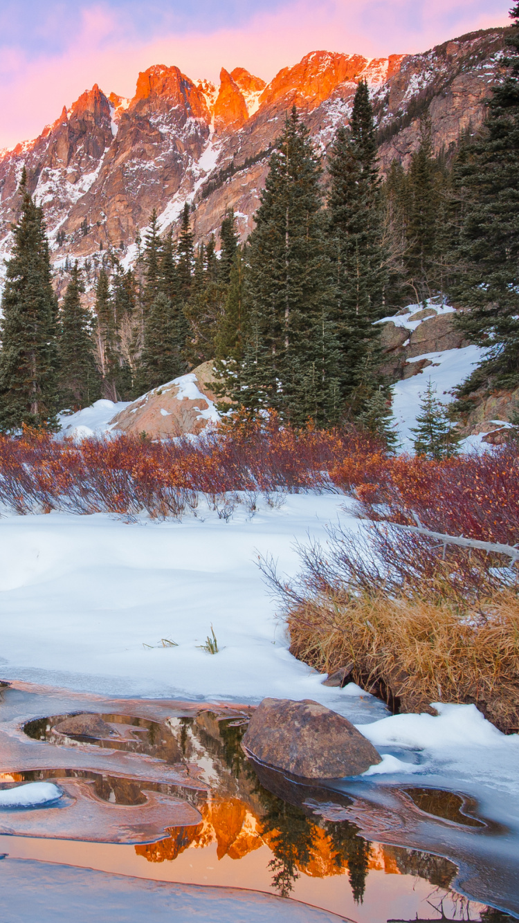 Green Pine Trees Covered With Snow Near Brown Mountain During Daytime. Wallpaper in 750x1334 Resolution