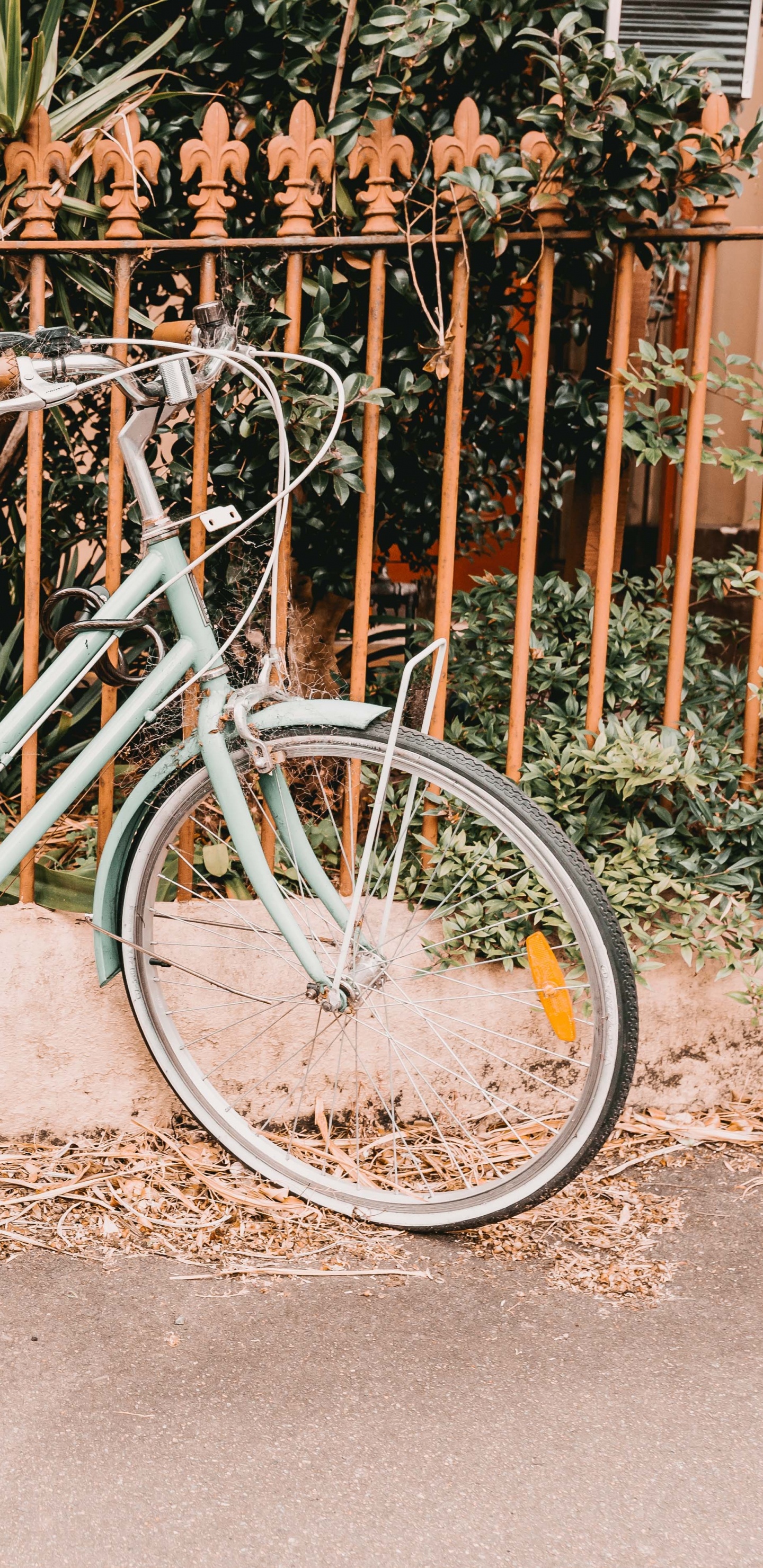 自行车, 栅栏, 街 壁纸 1440x2960 允许